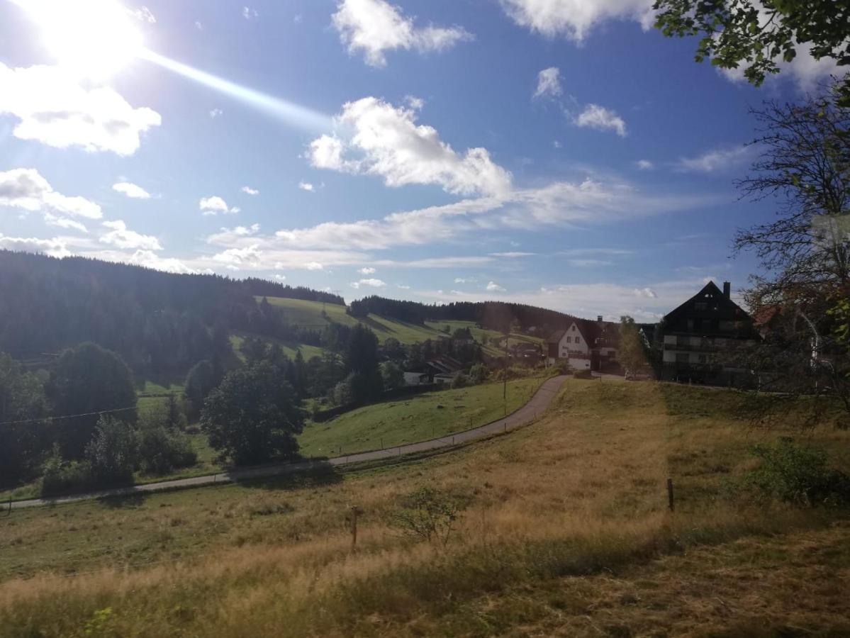 Apartament Haus Elena Bestwig Zewnętrze zdjęcie