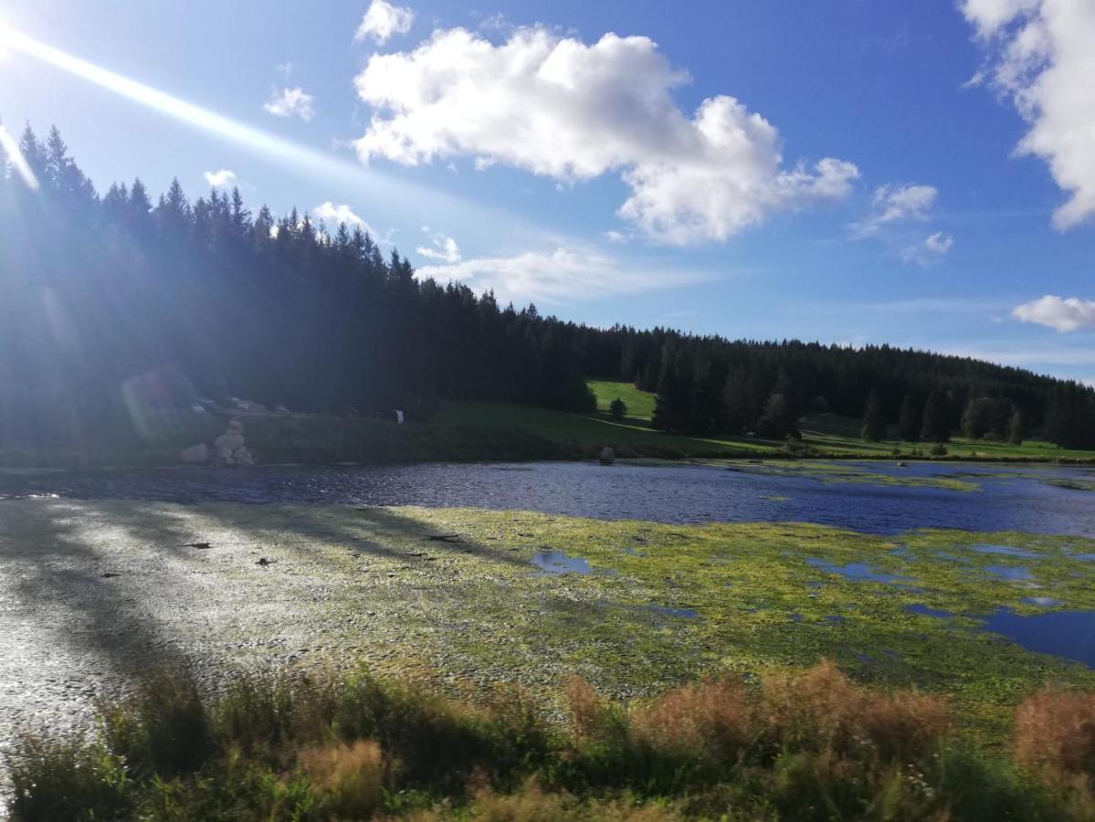 Apartament Haus Elena Bestwig Zewnętrze zdjęcie